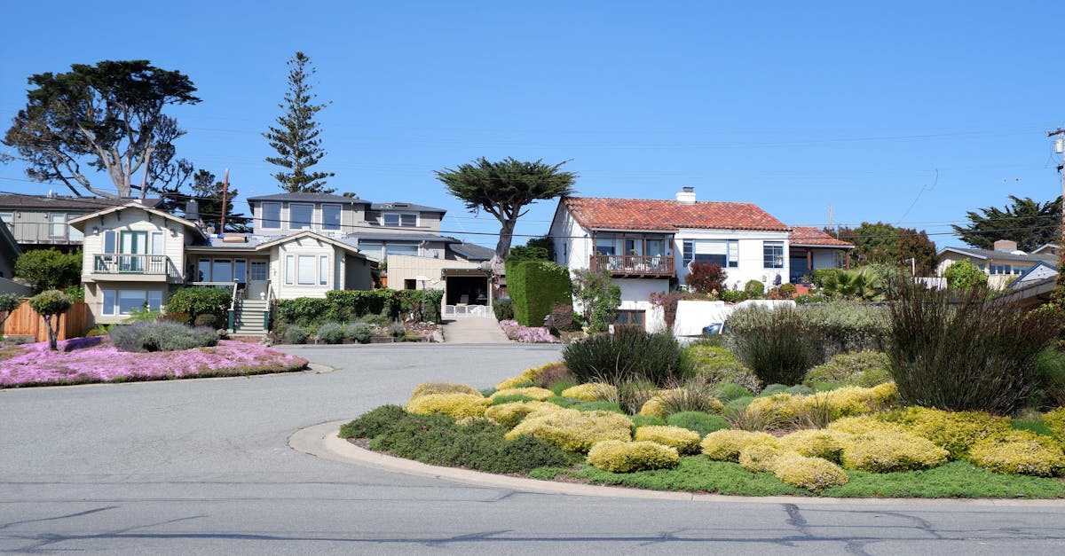 découvrez les meilleurs conseils pour acheter des arbres et des plantes. que vous soyez un jardinier novice ou expérimenté, trouvez les variétés idéales pour votre jardin tout en bénéficiant de conseils d'experts sur le choix, l'entretien et la plantation.