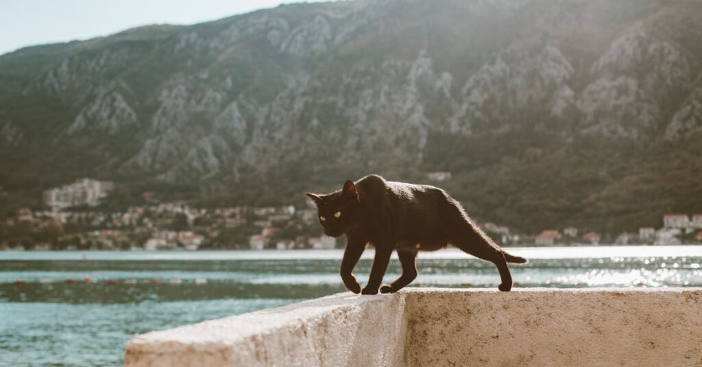 découvrez nos clôtures en béton, alliant robustesse et esthétisme. idéales pour sécuriser votre propriété tout en ajoutant une touche moderne à votre jardin. explorez nos différents modèles et trouvez la solution parfaite pour votre extérieur.