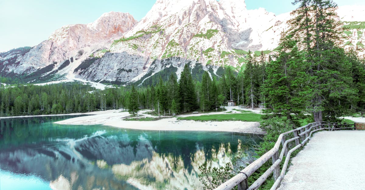 découvrez l'univers fascinant des conifères, des arbres majestueux et résilients aux feuillages persistants. apprenez tout sur leurs variétés, leurs caractéristiques et leur importance écologique dans notre guide complet.
