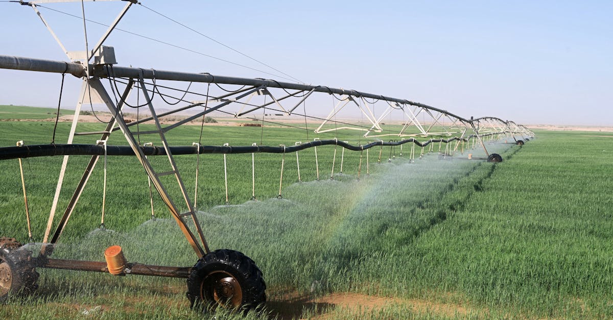 découvrez les avantages de l'irrigation goutte à goutte, une méthode efficace et durable pour irriguer vos cultures. optimisez votre consommation d'eau tout en améliorant la santé de vos plantes grâce à cette technique innovante.