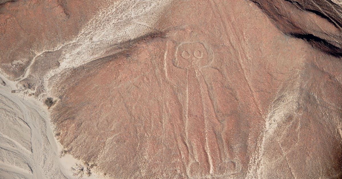 découvrez l'univers des travaux de terrassement, une discipline essentielle pour la construction et l'aménagement du territoire. explorez les techniques, les outils et les enjeux environnementaux associés à l'earthwork, et apprenez comment ces opérations préparent le terrain pour des projets durables et réussis.