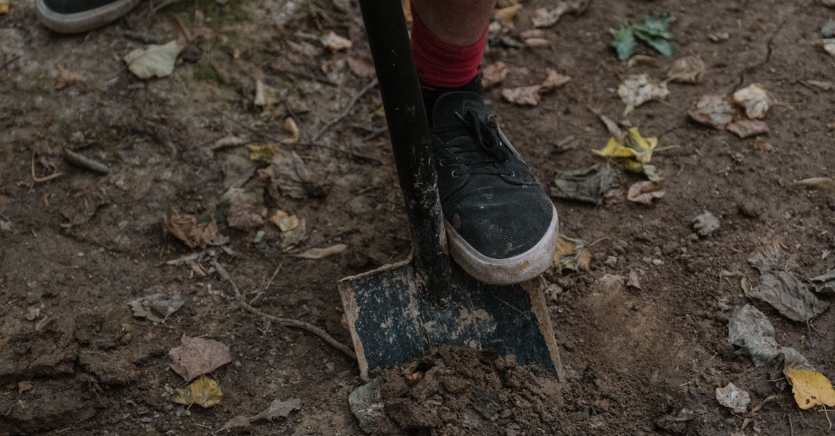 découvrez l'univers fascinant des travaux de terrassement (earthwork) : techniques, équipements et enjeux pour la construction durable. apprenez comment ces processus préparent le terrain pour vos projets tout en respectant l'environnement.