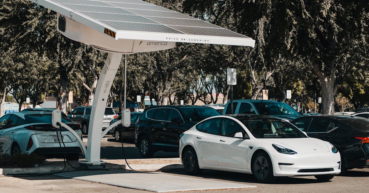 découvrez des alternatives écologiques pour réduire votre impact environnemental. explorez des options durables et respectueuses de la planète dans votre vie quotidienne, y compris des produits, des pratiques et des solutions innovantes.