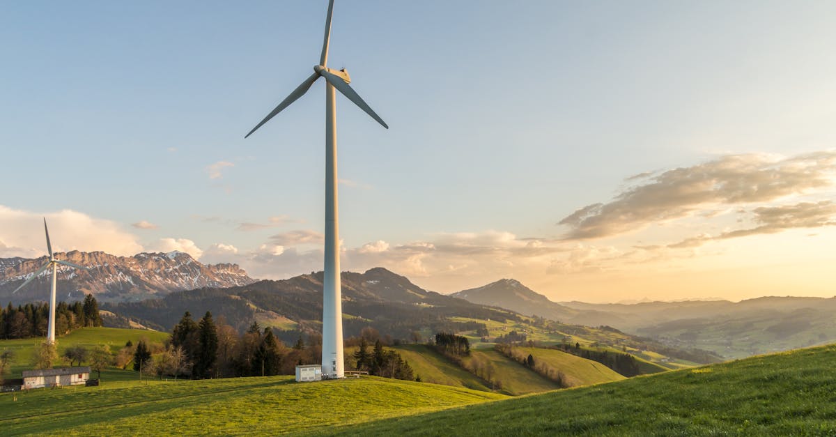 découvrez des alternatives écologiques pour un mode de vie durable. explorez des options respectueuses de l'environnement, allant des produits quotidiens aux solutions innovantes, pour réduire votre empreinte carbone tout en préservant la planète.