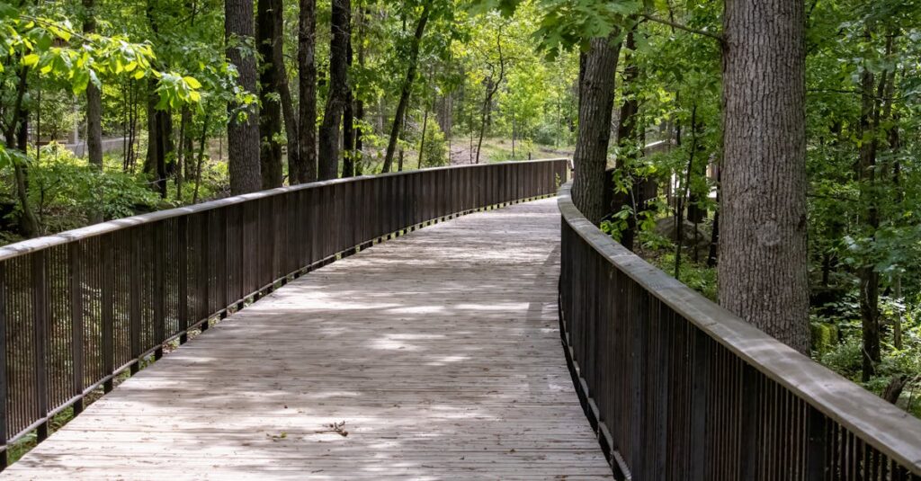 Découvrez le chauffe-eau le plus respectueux de l’environnement et économique découvrez notre chauffe-eau écologique, alliant performance énergétique et respect de l'environnement. optez pour une solution durable qui réduit votre empreinte carbone tout en garantissant un confort optimal. transformez votre consommation d'eau chaude dès aujourd'hui !