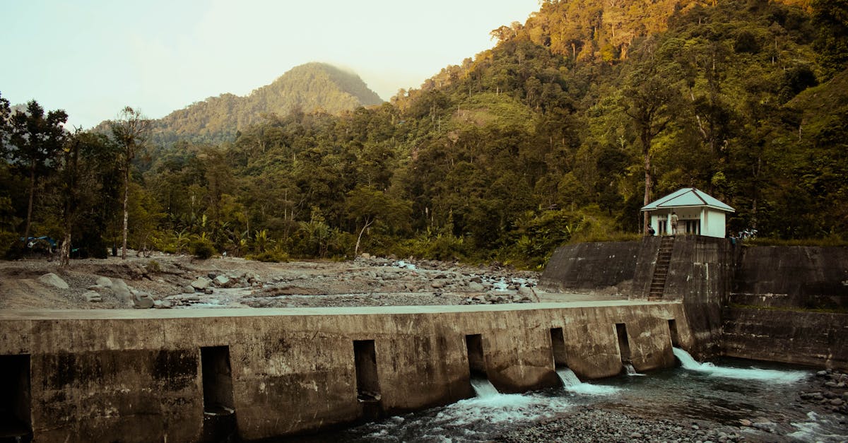 découvrez notre chauffe-eau écologique, conçu pour réduire votre empreinte carbone tout en offrant une efficacité énergétique optimale. profitez d'une eau chaude durable et respectueuse de l'environnement, parfaite pour un mode de vie responsable.