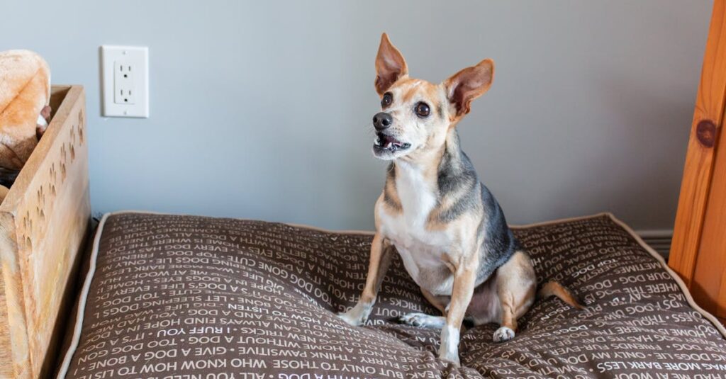 découvrez tout ce qu'il faut savoir sur les prises électriques : types, normes de sécurité, conseils d'installation et astuces pour une utilisation optimale. restez branché et informé sur ce sujet essentiel du quotidien.