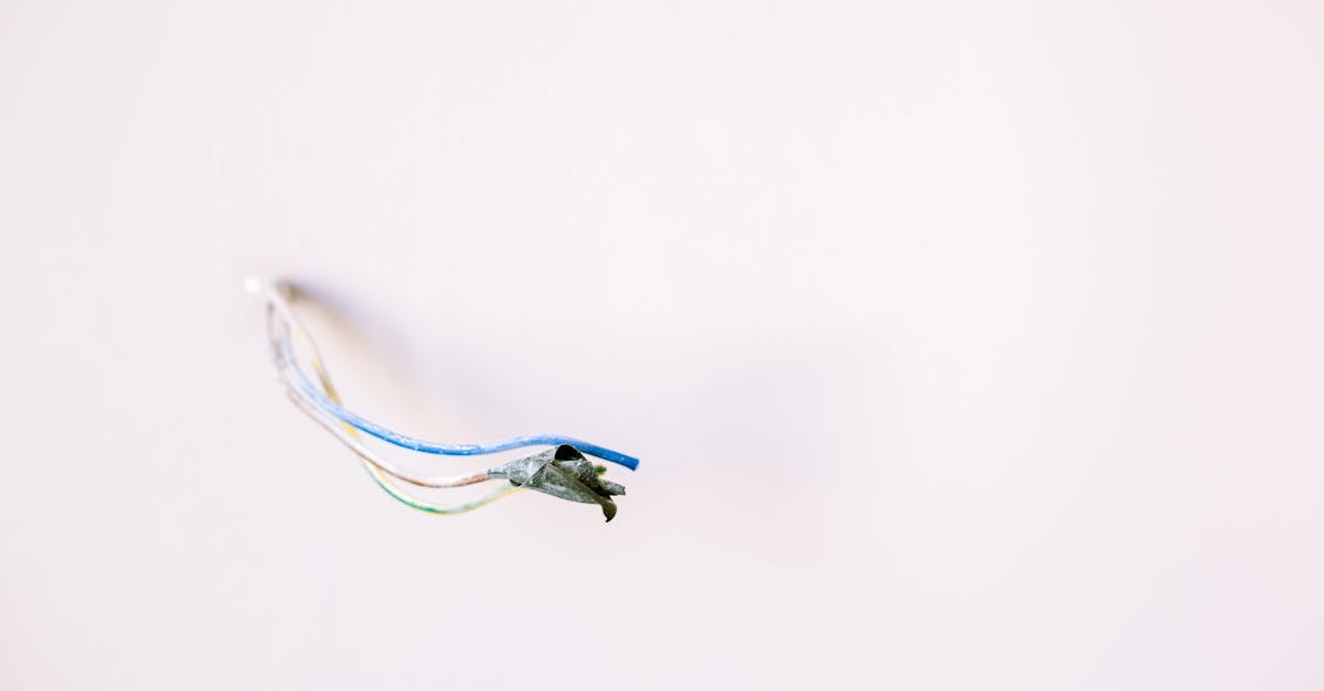 découvrez tout ce qu'il faut savoir sur les prises électriques : types, caractéristiques, installation et sécurité. optimisez votre espace avec des solutions adaptées à vos besoins électroménagers et technologiques.