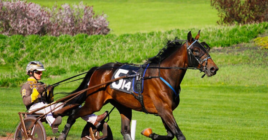 découvrez les herbes à croissance rapide, idéales pour embellir votre jardin en un temps record. profitez d'une pelouse dense et verte avec ces variétés faciles à entretenir, parfaites pour tous les espaces extérieurs.