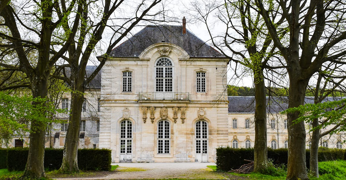 découvrez l'art du paysage à la française avec des idées inspirantes de design de jardins. transformez votre espace extérieur en un havre de paix à la fois élégant et intemporel, alliant tradition et modernité.