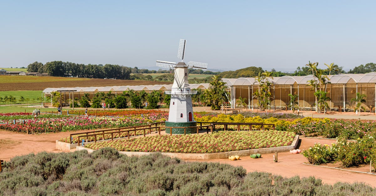 découvrez notre gamme de serres de jardin, conçues pour maximiser la croissance de vos plantes tout en les protégeant des intempéries. idéales pour tous les jardiniers, nos serres offrent un environnement optimal pour vos cultures, qu'il s'agisse de légumes, de fleurs ou de plantes tropicales.