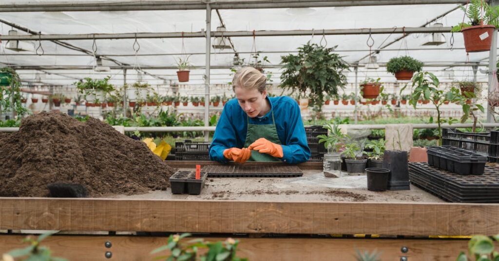 Tout savoir sur les serres de jardin : coût, installation, fiscalité et normes en vigueur en 2024 découvrez comment les serres de jardin peuvent transformer votre espace extérieur, vous permettant de cultiver vos plantes préférées toute l'année. explorez différents types de serres, leurs avantages et des conseils pour optimiser votre jardinage.