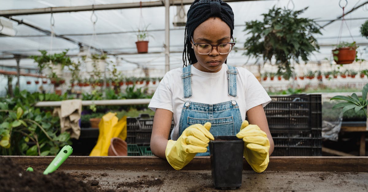 découvrez notre gamme de serres de jardin, idéales pour cultiver vos plantes tout au long de l'année. protégez vos cultures des intempéries et optimisez leur croissance avec nos modèles variés adaptés à tous les espaces extérieurs.