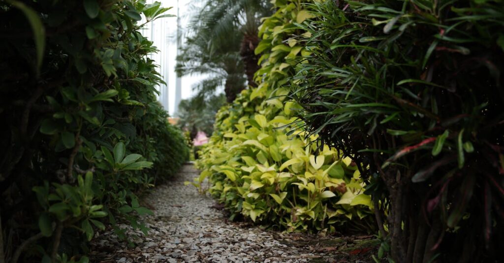 Tout savoir sur l’aménagement de votre allée de jardin : conseils pratiques, budget à prévoir et normes à respecter. découvrez comment créer un chemin de jardin enchanteur qui embellit votre espace extérieur et guide les visiteurs à travers votre oasis de verdure. inspirez-vous de nos idées et conseils pratiques pour agencer les matériaux et les plantes afin de réaliser un chemin à la fois esthétique et fonctionnel.