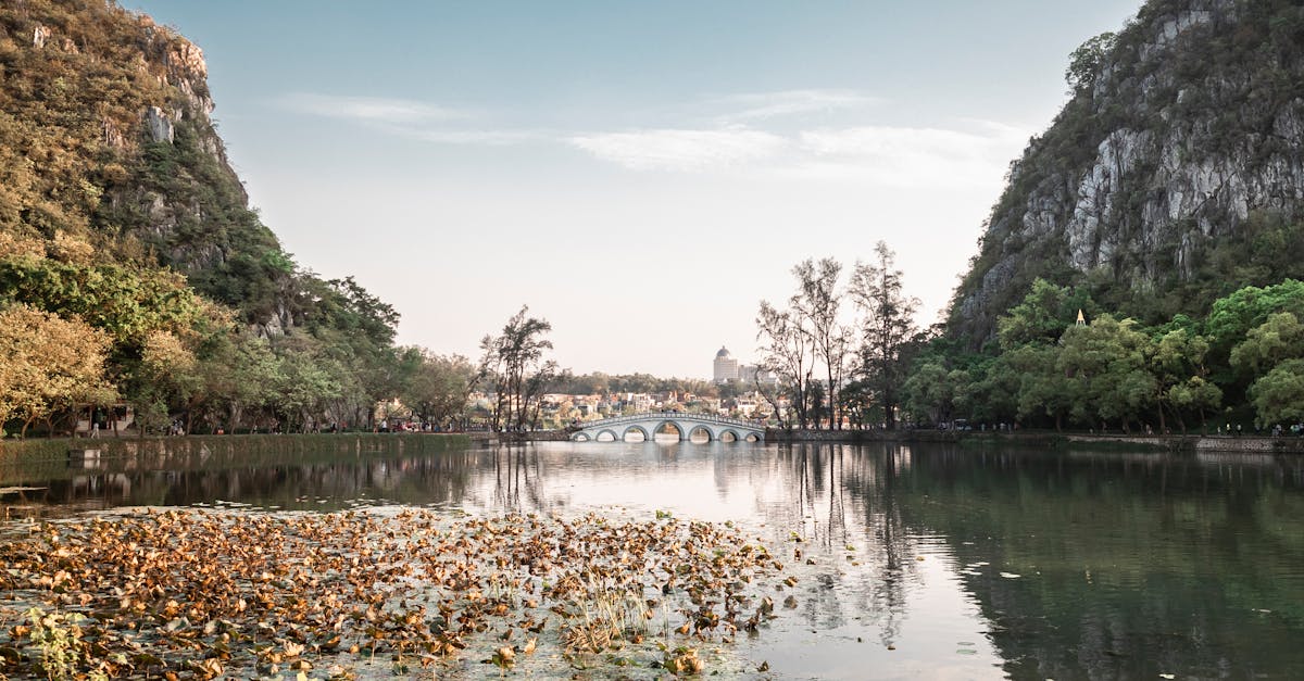 découvrez comment créer et entretenir un étang de jardin idyllique. transformez votre espace extérieur en un havre de paix avec des conseils sur la conception, l'écosystème aquatique et l'ajout de plantes et de poissons pour embellir votre jardin.