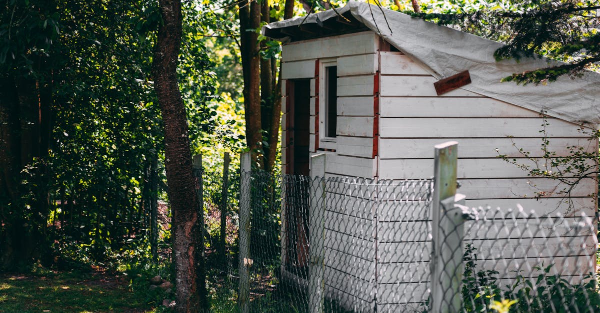 découvrez notre sélection de cabanons de jardin : des solutions pratiques et esthétiques pour stocker vos outils et équipements de jardinage. transformez votre espace extérieur en un endroit organisé et agréable.