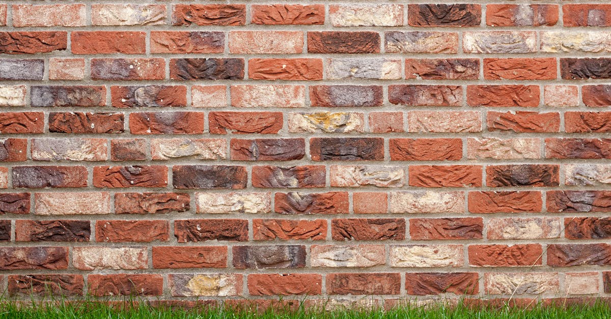 découvrez comment créer un mur de jardin élégant et fonctionnel. inspirez-vous de nos conseils pour choisir les matériaux, les designs et les plantes qui embelliront votre extérieur tout en offrant intimité et délimitation des espaces.