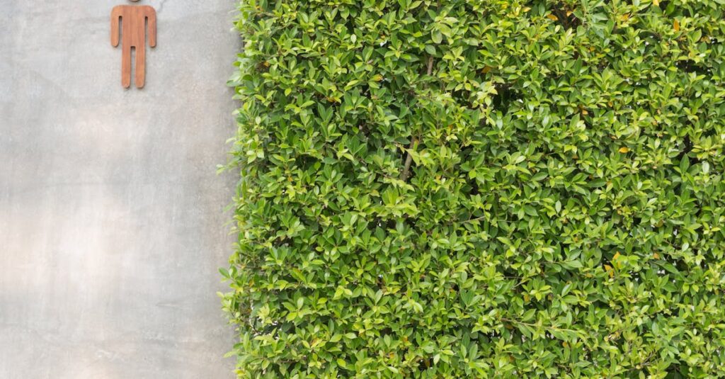 Découvrir le muret de jardin : matériaux en pierre, coûts, installation et inspirations découvrez comment embellir votre jardin avec un mur de jardin. nos conseils et astuces vous aideront à créer un espace extérieur harmonieux et chaleureux, alliant fonctionnalité et esthétique.