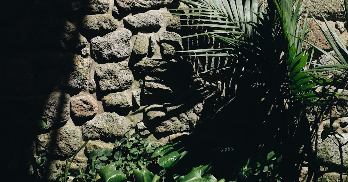 découvrez comment transformer votre espace extérieur avec un mur de jardin élégant et fonctionnel. inspirez-vous de nos idées innovantes pour créer une délimitation harmonieuse, offrir de l'intimité et embellir votre environnement extérieur.