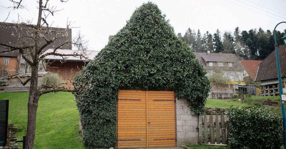 découvrez comment transformer votre jardin avec un mur de jardin élégant et fonctionnel. explorez des idées de conception, des matériaux et des conseils pour créer un espace extérieur magnifique qui sublime votre propriété.