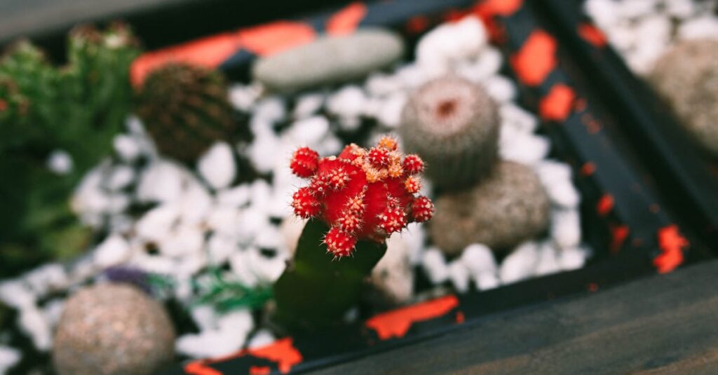 Comprendre la greffe des arbres fruitiers : comptabilité et choix des porte-greffes (guide complet découvrez l'art du greffage, une technique horticole qui permet d'unir deux plantes pour créer de nouvelles variétés plus robustes et productives. apprenez les méthodes, les outils nécessaires et les astuces pour réussir vos greffes et transformer votre jardin.