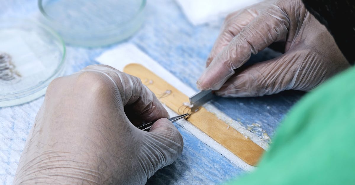 découvrez l'art du greffage, une technique horticole fascinante qui permet d'unir différentes plantes pour créer des variétés uniques et améliorer la santé des cultures. apprenez les méthodes, les avantages et les conseils pratiques pour réussir vos greffages.