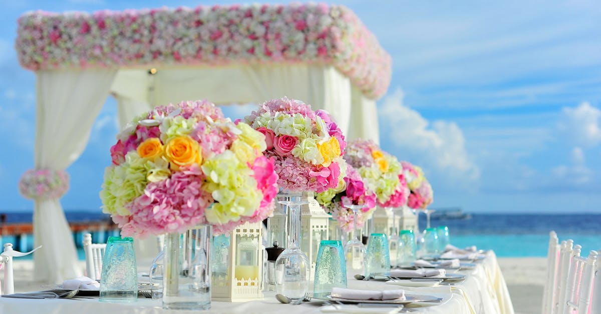 découvrez l'univers enchanteur des hydrangeas, ces fleurs magnifiquement colorées qui ajoutent une touche de charme à tous les jardins. apprenez à cultiver et entretenir ces plantes délicates pour profiter de leur floraison spectaculaire tout au long de l'été.