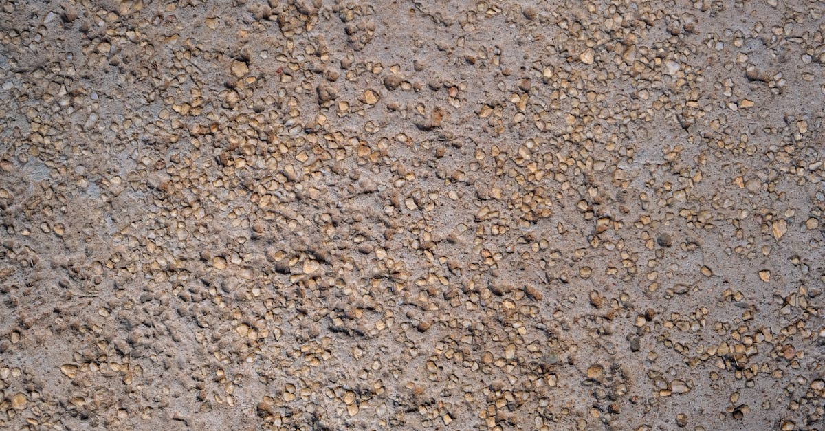 découvrez nos solutions de pavage en béton industriel, alliant durabilité et performance pour vos projets d'aménagement extérieur. optez pour un revêtement résistant, idéal pour les zones à fort passage.