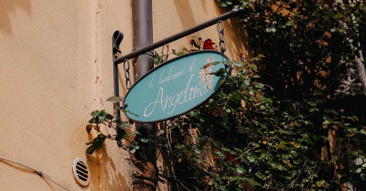 découvrez l'art du jardinage italien avec nos conseils et inspirations pour créer un espace extérieur élégant et harmonieux. transformez votre jardin en un havre de paix méditerranéen avec des plantes luxuriantes, des bancs en pierre et des éléments d'eau.