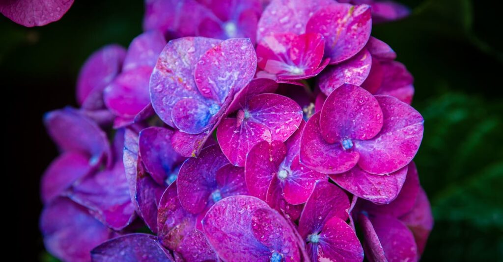 découvrez l'art du design de jardin à l'italienne, alliant esthétique et fonctionnalité. plantes luxuriantes, allées charmantes et éléments de décor authentiques, créez un espace extérieur inspiré des plus beaux jardins d'italie.