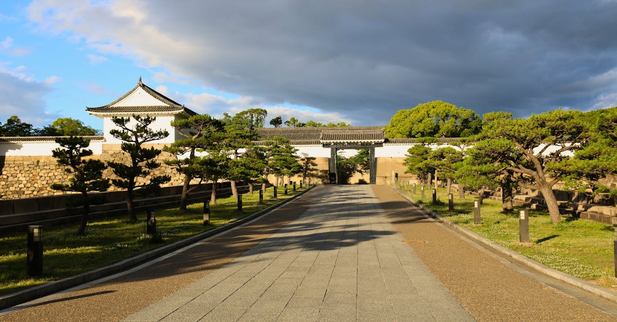 découvrez la sérénité des jardins japonais, un havre de paix où art et nature s'harmonisent. explorez leurs caractéristiques uniques, des ruisseaux sinueux aux pierres délicatement disposées, et inspirez-vous pour recréer cette beauté zen chez vous.