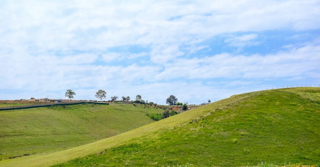 Tout savoir sur le gazon kikuyu : coût, retours d’expérience et conseils d’entretien découvrez le kikuyu, une herbe robuste et durable, idéale pour les pelouses et les jardins ensoleillés. apprenez ses caractéristiques, ses avantages et comment l'entretenir pour un espace verdoyant tout au long de l'année.