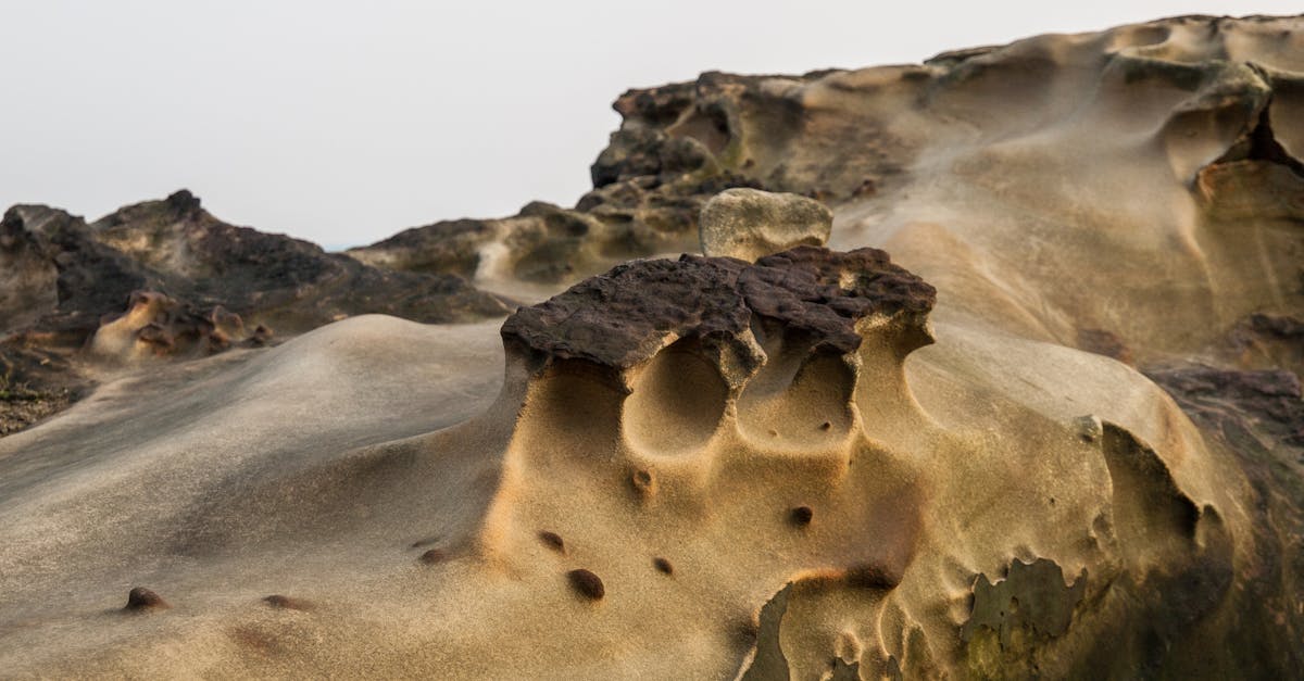 découvrez l'univers fascinant des lichens, ces organismes uniques formés de la symbiose entre champignons et algues. plongez dans leur diversité, leur rôle écologique et leur importance dans l'environnement. apprenez comment les lichens peuvent indiquer la qualité de l'air et explorer leur utilisation dans la médecine traditionnelle.