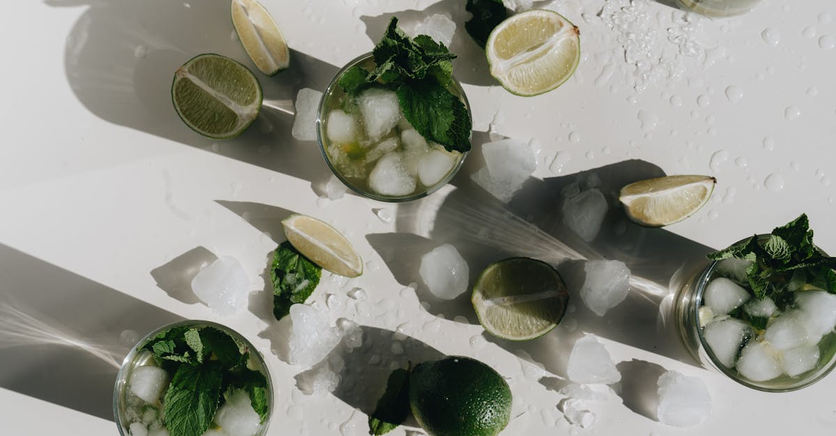 découvrez tout sur la lime, cet excellent agrume riche en vitamine c. apprenez ses bienfaits pour la santé, ses utilisations en cuisine et comment l'intégrer facilement dans votre alimentation quotidienne.