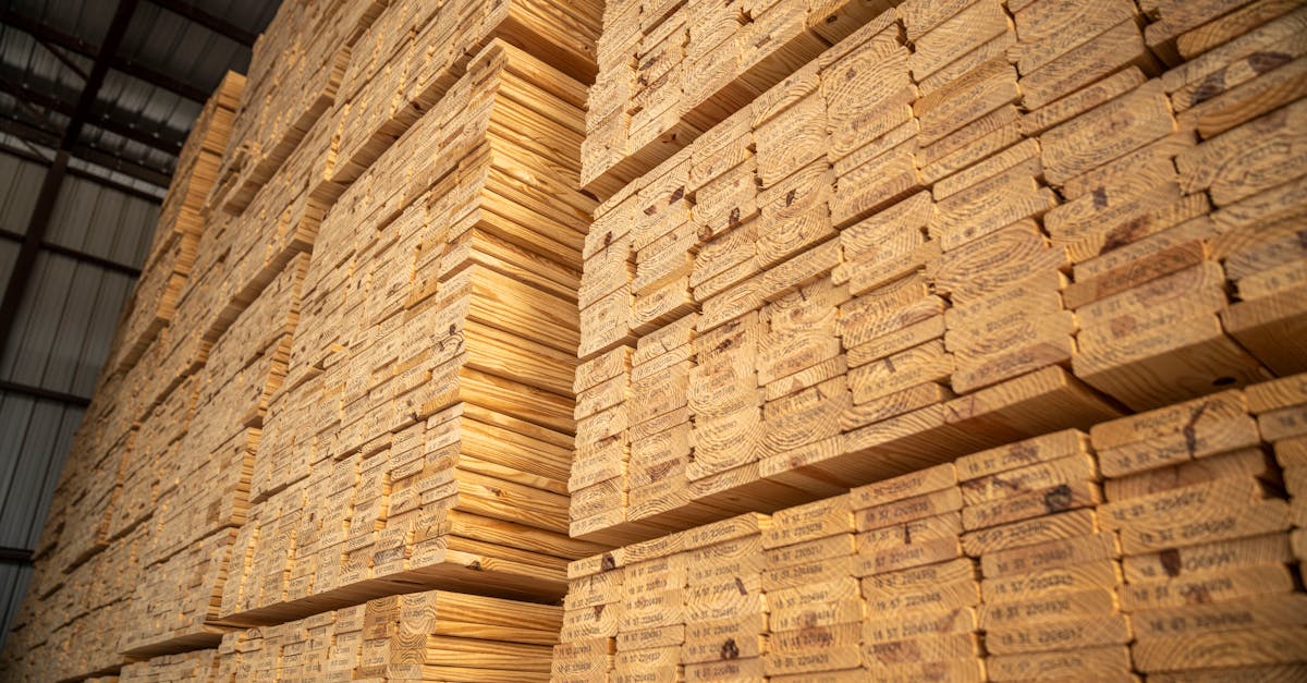 découvrez les étapes essentielles du traitement du bois, de l'abattage à la transformation, et apprenez comment les techniques modernes améliorent la qualité et la durabilité des produits en bois.