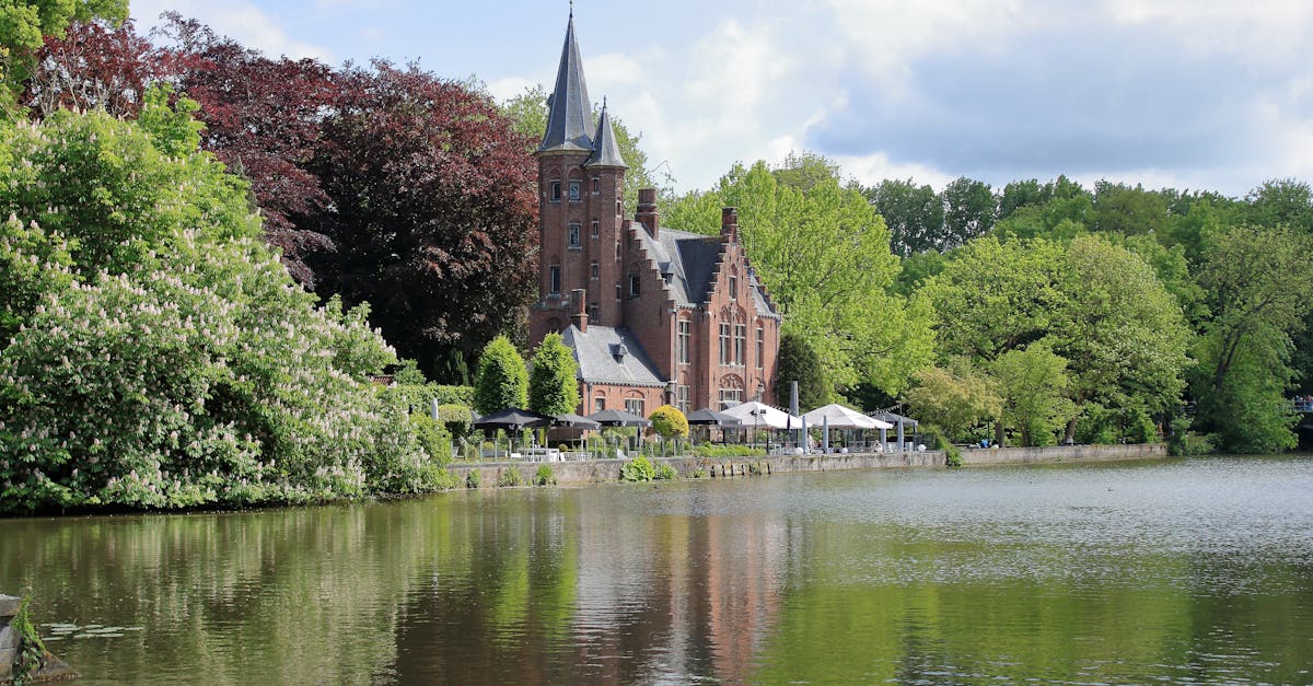découvrez l'enchantement d'un jardin médiéval, un espace harmonieux rempli de plantes aromatiques, de fleurs colorées et d'éléments architecturaux inspirés du moyen âge, où la nature et l'histoire s'entrelacent pour créer une oasis de paix et de beauté.