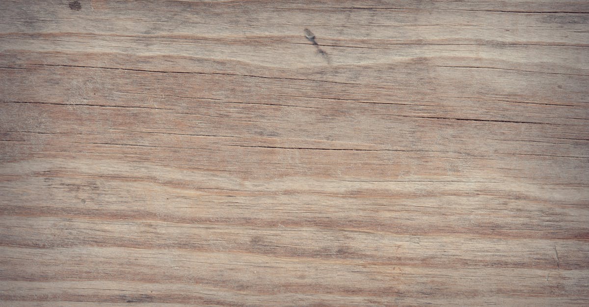 découvrez les meilleures techniques de taille des chênes pour encourager une croissance saine, améliorer la structure de l'arbre et maximiser la production. apprenez à tailler efficacement et à préserver la santé de vos chênes tout au long de l'année.