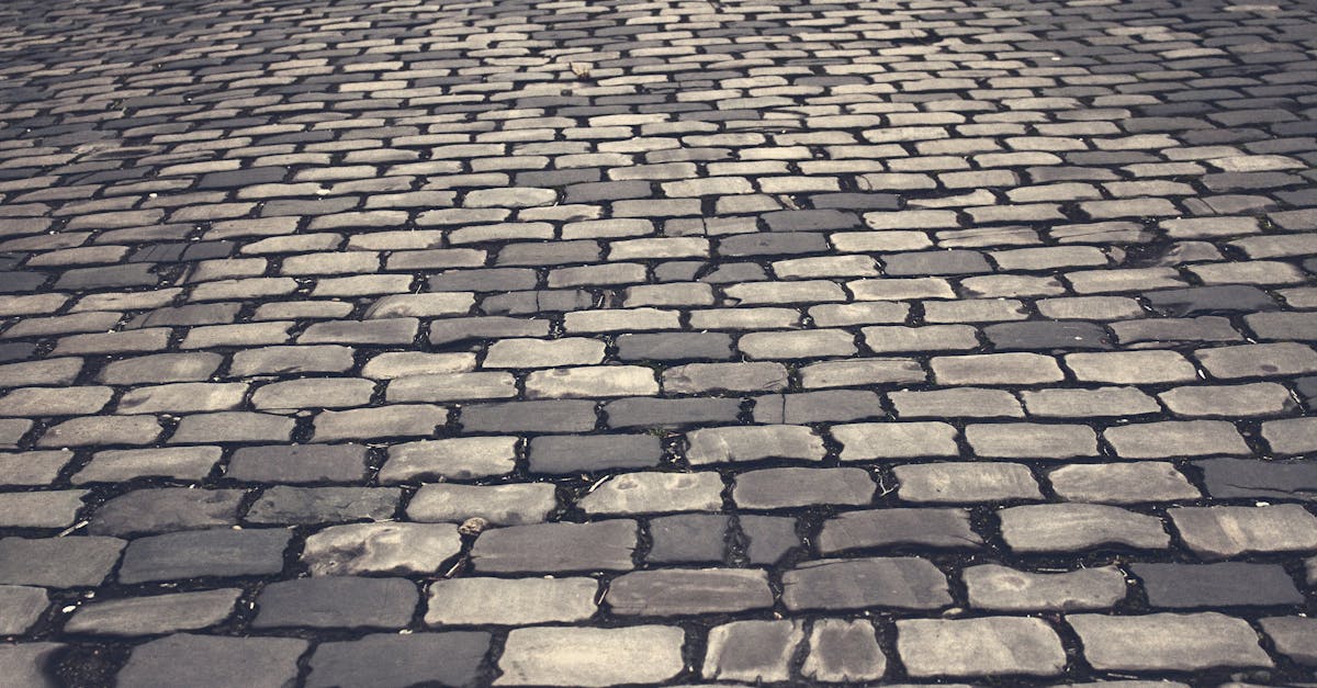 découvrez nos services de pavage pour embellir vos extérieurs. que ce soit pour une allée, une terrasse ou un aménagement paysager, nos experts vous accompagnent dans la réalisation de projets durables et esthétiques.