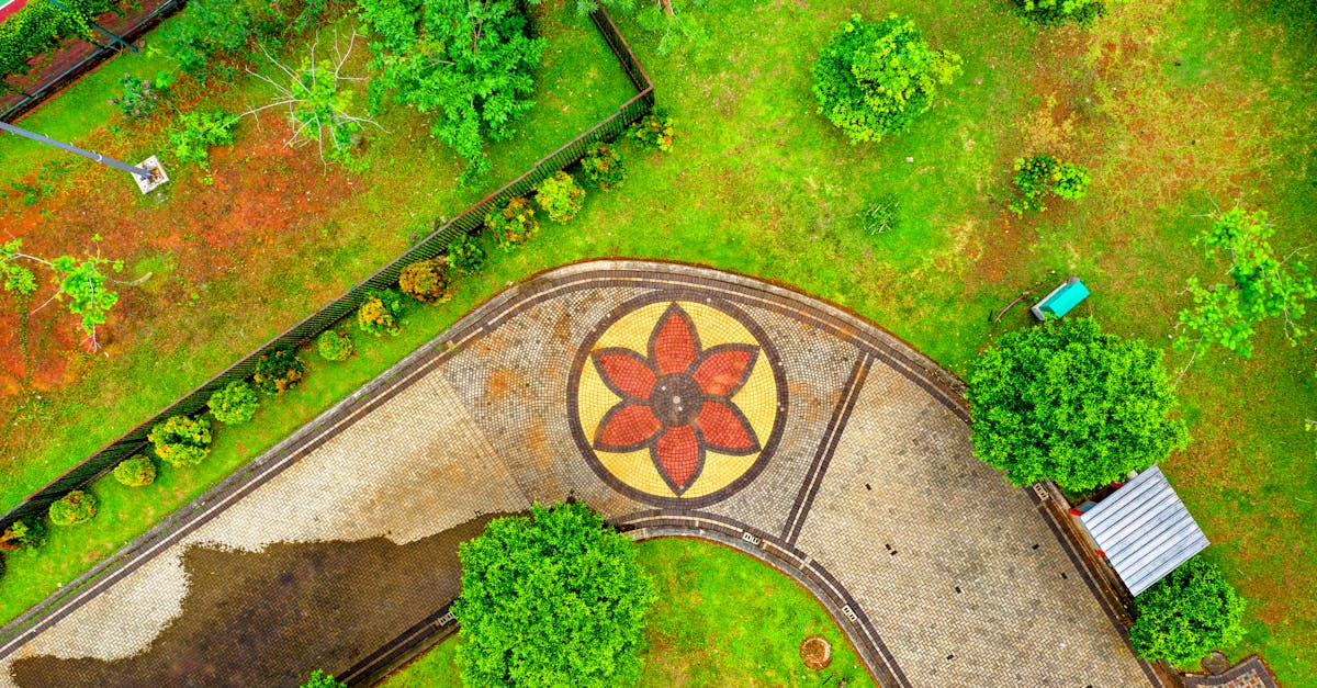 découvrez l'art du paving pour embellir vos espaces extérieurs. nos solutions adaptées, allant des pavés traditionnels aux designs modernes, vous permettent de créer des allées, terrasses et jardins uniques. transformez votre extérieur avec style et durabilité grâce à nos matériaux de qualité.