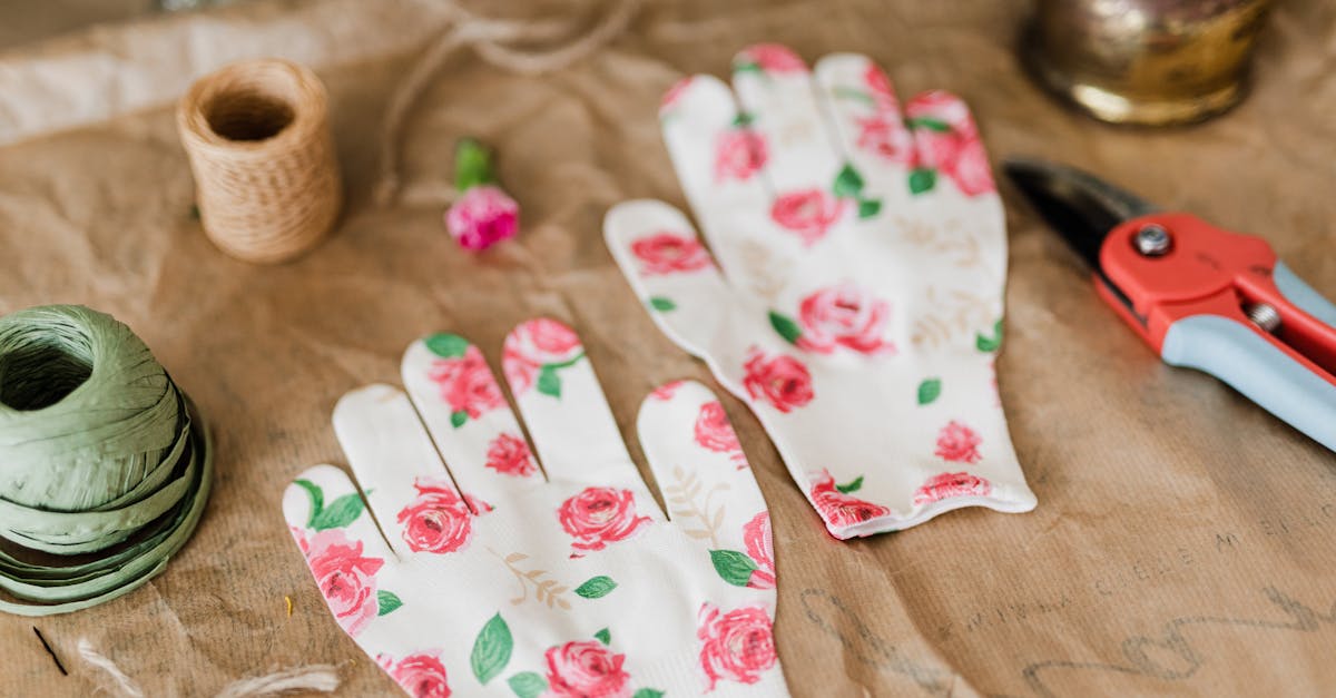 découvrez l'art de la taille (pruning) pour améliorer la santé et la productivité de vos plantes. apprenez les techniques essentielles pour façonner vos arbustes et arbres, favoriser la floraison et contrôler la croissance.