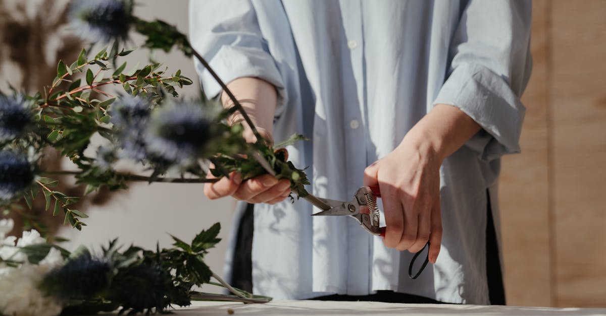 découvrez l'art de la taille des plantes : apprenez les techniques, les outils et les conseils pour entretenir votre jardin, favoriser la croissance et préserver la santé de vos végétaux.