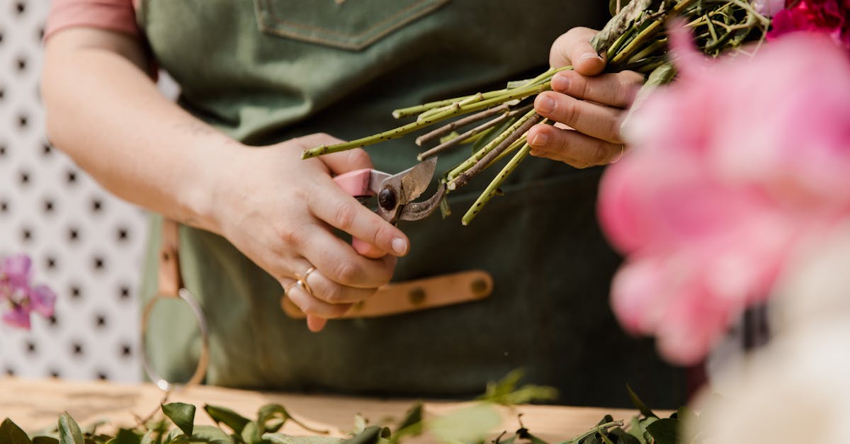 découvrez les meilleures techniques de taille pour vos plantes et arbres. apprenez à maîtriser la taille pour favoriser la croissance, la santé et l'esthétique de votre jardin. guide pratique pour amateurs et professionnels.