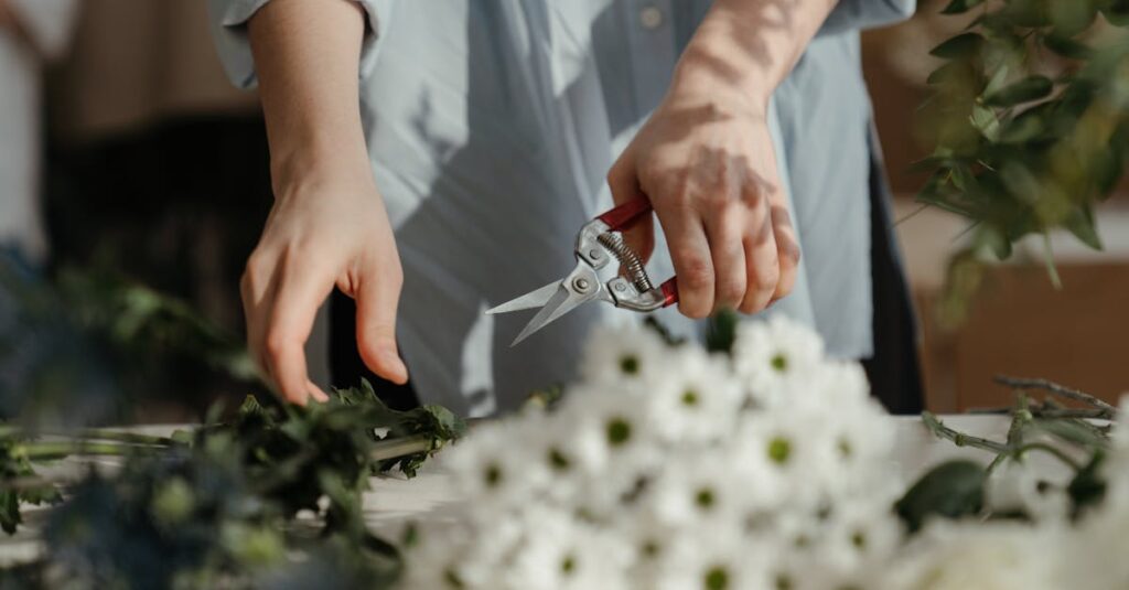 Les astuces essentielles pour une taille réussie du tilleul découvrez l'art de l'élagage : techniques, conseils et astuces pour entretenir vos plantes et arbres. apprenez à tailler efficacement pour favoriser la croissance, la santé et la beauté de votre jardin.