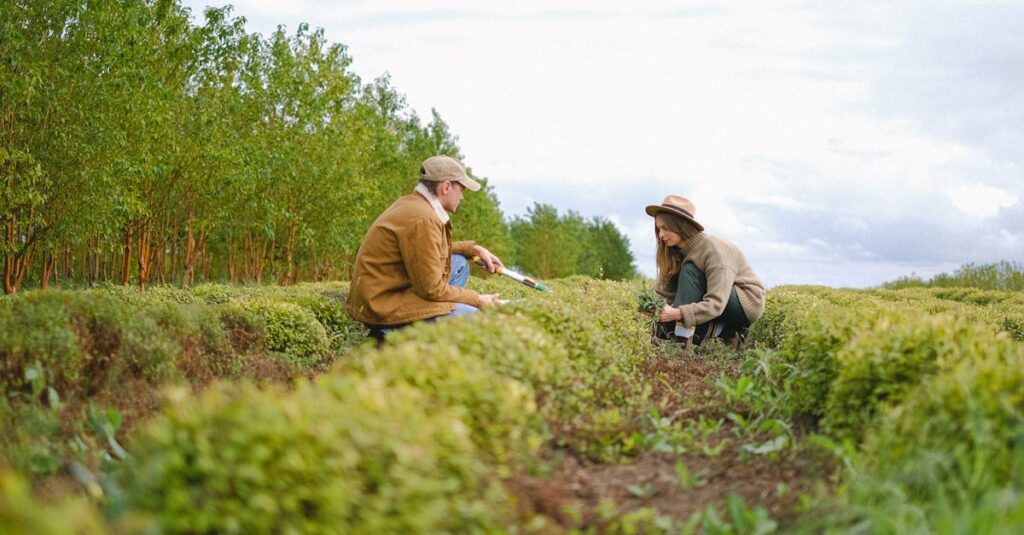 Les outils essentiels pour un élagage réussi : guide complet découvrez notre sélection d'outils de taille de haute qualité pour entretenir vos plantes et jardins. que vous soyez amateur ou jardinier professionnel, trouvez l'outil adapté à vos besoins pour une taille précise et efficace.