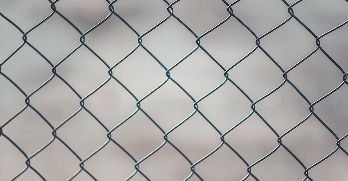 découvrez les avantages des clôtures en pvc : durabilité, esthétisme et faible entretien. idéales pour délimiter votre espace tout en ajoutant une touche moderne à votre extérieur. explorez nos choix variés de designs et de couleurs pour un aménagement harmonieux.
