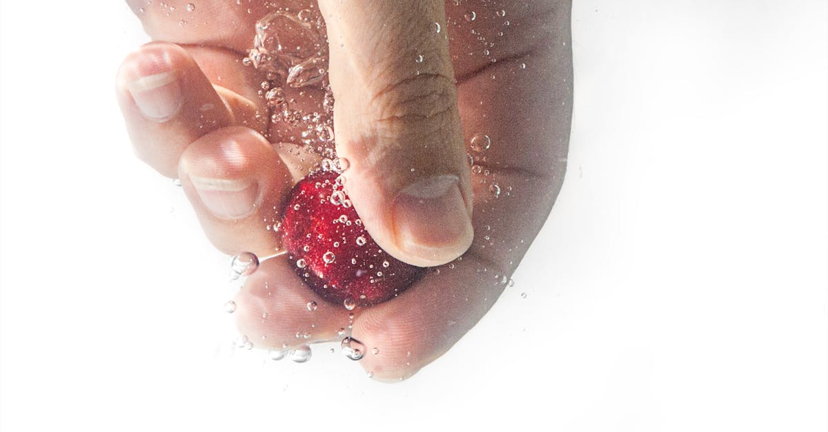 découvrez les meilleures techniques de taille des framboisiers pour optimiser votre récolte. apprenez quand et comment tailler vos plants de framboises pour favoriser leur croissance et leur santé, garantissant ainsi des fruits juteux et savoureux.