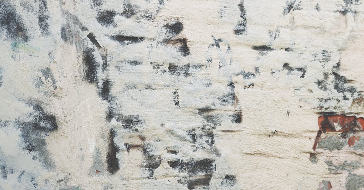 découvrez tout sur les scratches : définitions, types, implications et solutions pour les gérer efficacement. apprenez à protéger vos surfaces et à prévenir les dommages.