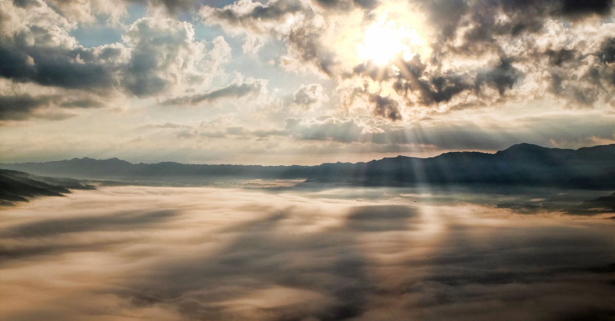 découvrez l'importance de la lumière du soleil pour notre santé et notre bien-être. explorez les bienfaits du soleil sur notre humeur, notre peau et notre environnement, et apprenez comment profiter de ses rayons en toute sécurité.