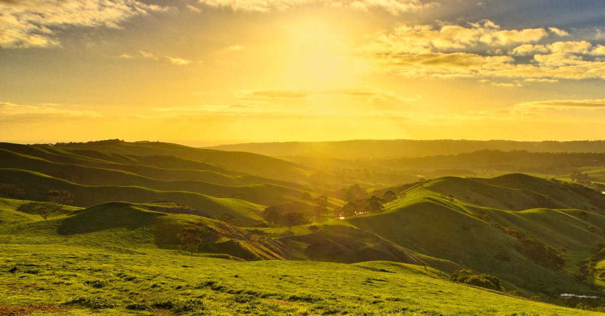 découvrez l'importance de la lumière naturelle pour votre bien-être et votre environnement. 'sunlight' explore les bienfaits d'une exposition optimale au soleil, de l'amélioration de l'humeur à l'optimisation des espaces de vie. apprenez à profiter des rayons du soleil tout en préservant votre santé.