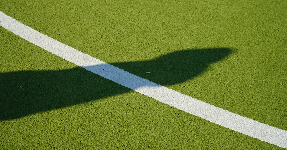 découvrez les avantages de la pelouse synthétique : un entretien facile, un aspect naturel et une durabilité exceptionnelle. transformez votre espace extérieur avec un gazon artificiel idéal pour les jardins, terrains de sport et aires de jeux.